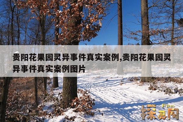 贵阳花果园灵异事件真实案例,贵阳花果园灵异事件真实案例图片