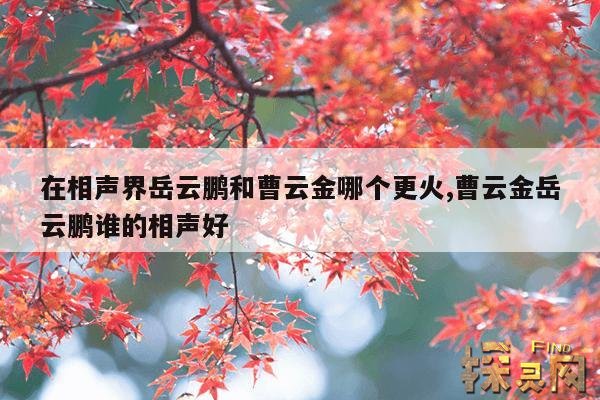 在相声界岳云鹏和曹云金哪个更火,曹云金岳云鹏谁的相声好