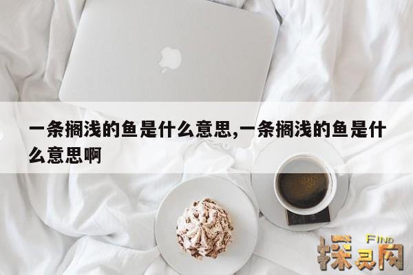 一条搁浅的鱼是什么意思,一条搁浅的鱼是什么意思啊