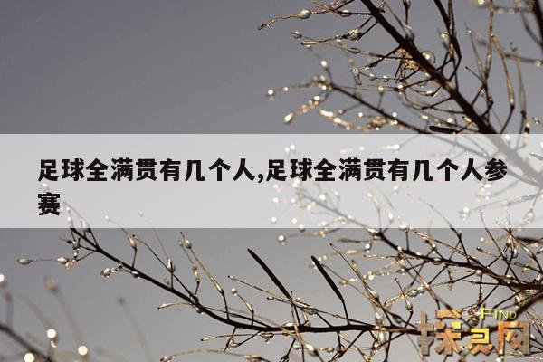 足球全满贯有几个人,足球全满贯有几个人参赛