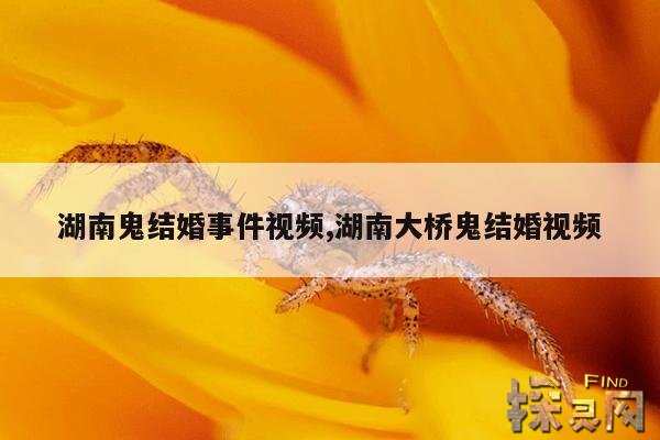 湖南鬼结婚事件视频,湖南大桥鬼结婚视频