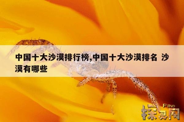 中国十大沙漠排行榜,中国十大沙漠排名 沙漠有哪些