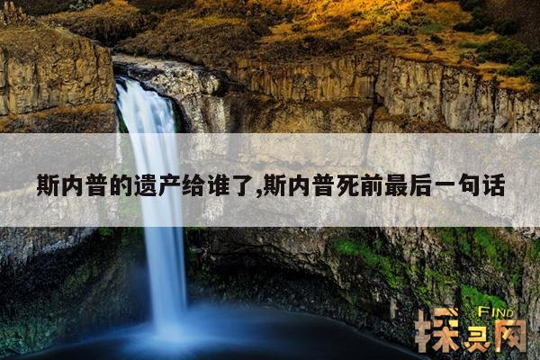 斯内普的遗产给谁了,斯内普死前最后一句话