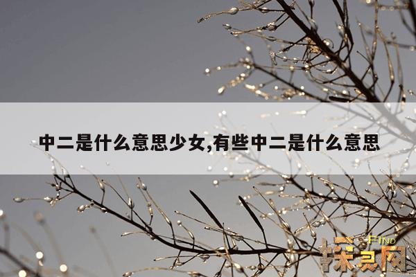 中二是什么意思少女,有些中二是什么意思