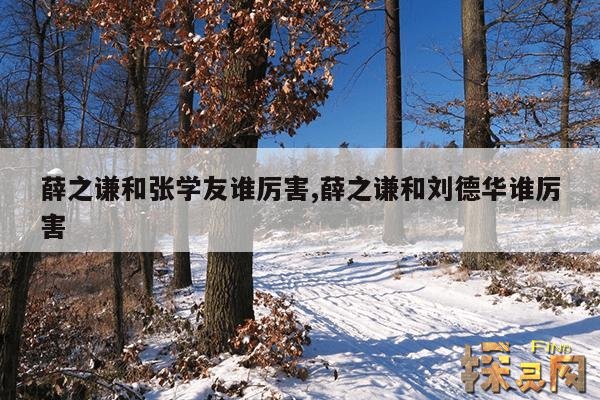 薛之谦和张学友谁厉害,薛之谦和刘德华谁厉害