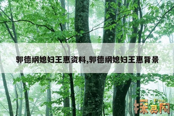 郭德纲媳妇王惠资料,郭德纲媳妇王惠背景