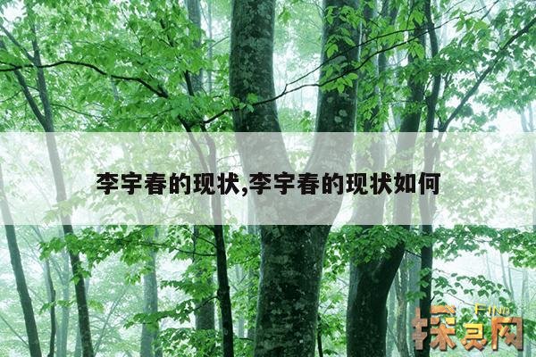 李宇春的现状,李宇春的现状如何
