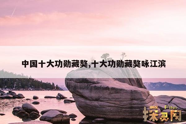 中国十大功勋藏獒,十大功勋藏獒咏江滨