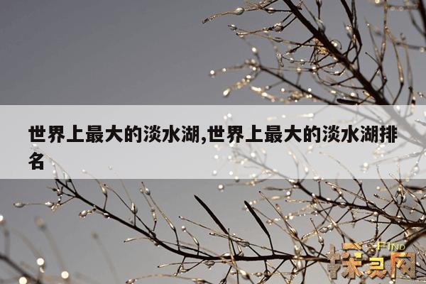 世界上最大的淡水湖,世界上最大的淡水湖排名