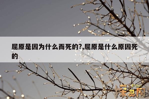 屈原是因为什么而死的?,屈原是什么原因死的