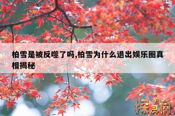 柏雪是被反噬了吗,柏雪为什么退出娱乐圈真相揭秘