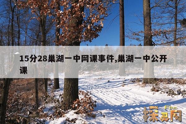 15分28巢湖一中网课事件,15分28巢湖一中网课事件是真的吗?