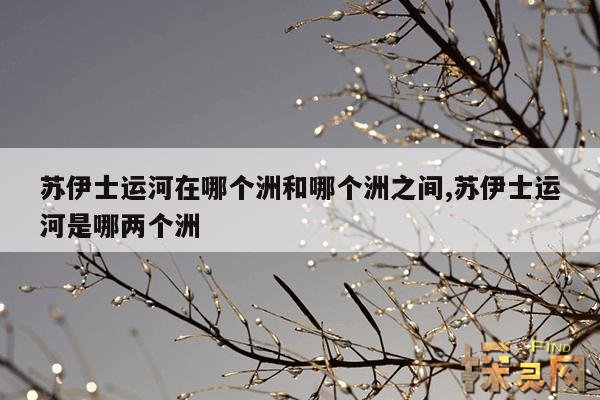 苏伊士运河在哪个洲和哪个洲之间,苏伊士运河是哪两个洲
