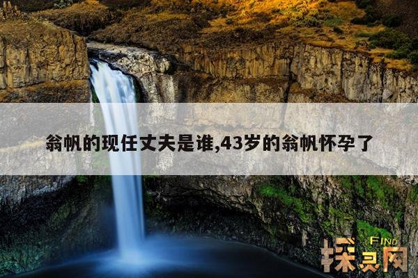 翁帆的现任丈夫是谁,43岁的翁帆怀孕了