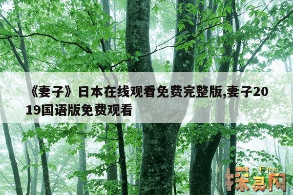 《妻子》日本在线观看免费完整版,妻子2019国语版免费观看