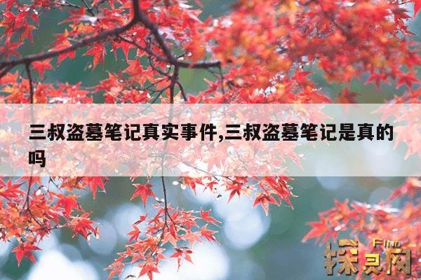 三叔盗墓笔记真实事件,三叔盗墓笔记是真的吗