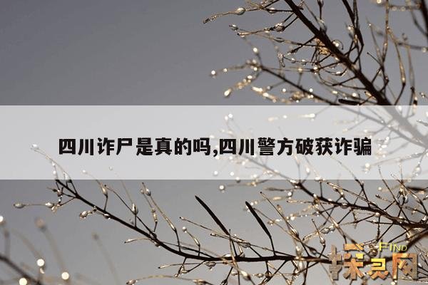 四川诈尸是真的吗,四川警方破获诈骗