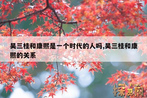 吴三桂和康熙是一个时代的人吗?,吴三桂跟康熙帝什么关系