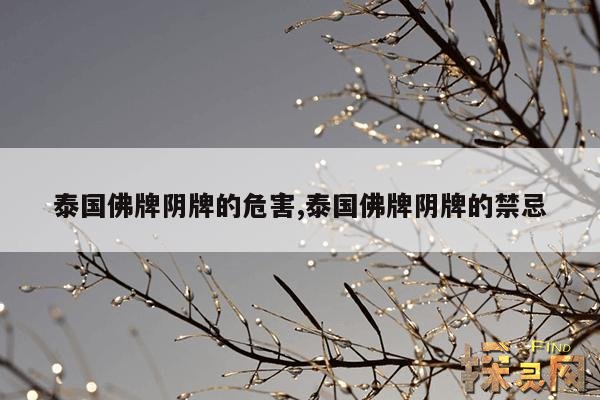 泰国佛牌阴牌的危害,泰国佛牌阴牌的禁忌