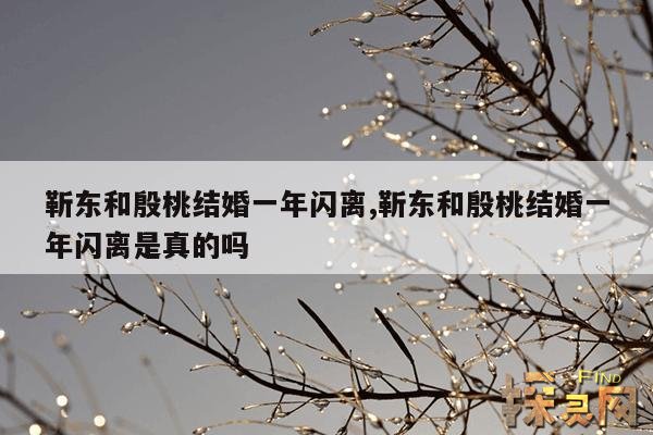 靳东和殷桃结婚一年闪离,靳东和殷桃结婚一年闪离是真的吗