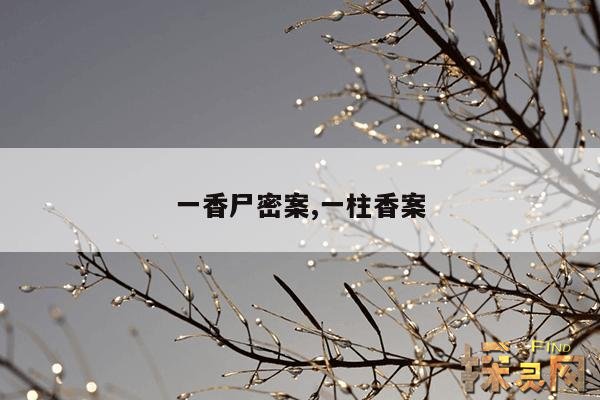 一香尸密案,一柱香案
