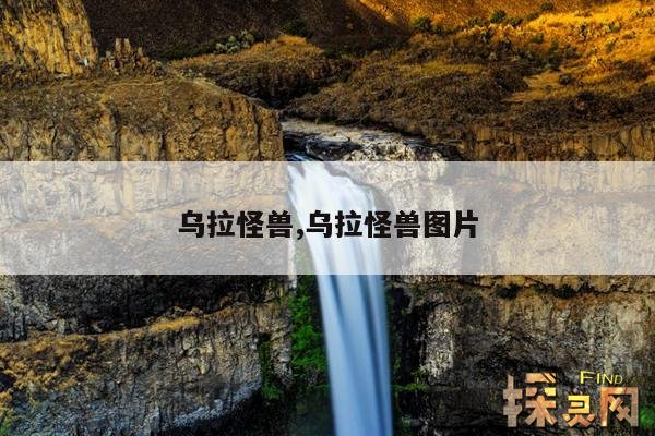 乌拉怪兽,乌拉怪兽图片