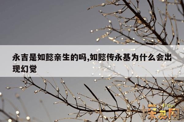 永吉是如懿亲生的吗?,如懿传永基被刺杀是哪一集