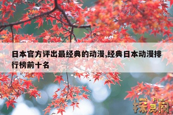 日本官方评出最经典的动漫,经典日本动漫排行榜前十名