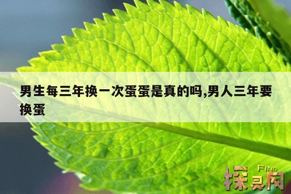 男生每三年换一次蛋蛋是真的吗?,男生每几年换一次蛋
