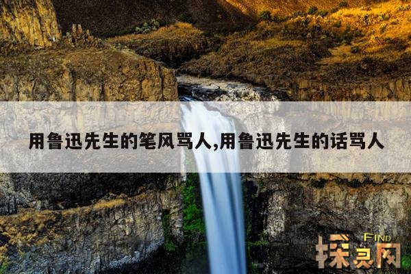 用鲁迅先生的笔风骂人,用鲁迅先生的笔风骂人犯法吗?