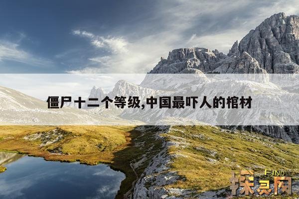 僵尸十二个等级,僵尸十二个等级照片