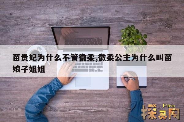 苗贵妃为什么不管徽柔,徽柔公主为什么叫苗娘子姐姐