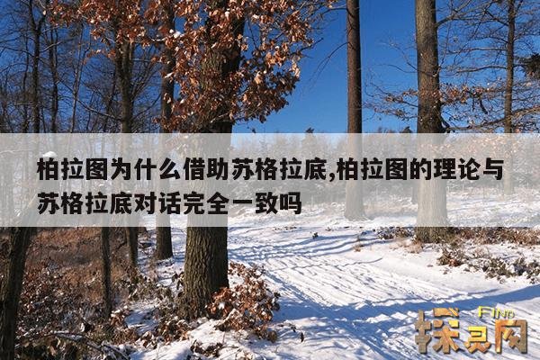 柏拉图为什么借助苏格拉底,柏拉图的理论与苏格拉底对话完全一致吗
