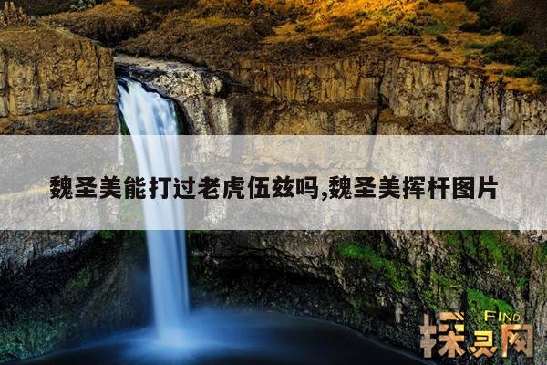 魏圣美能打过老虎伍兹吗,魏圣美挥杆图片