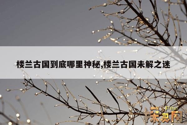 楼兰古国到底哪里神秘,楼兰古国未解之迷