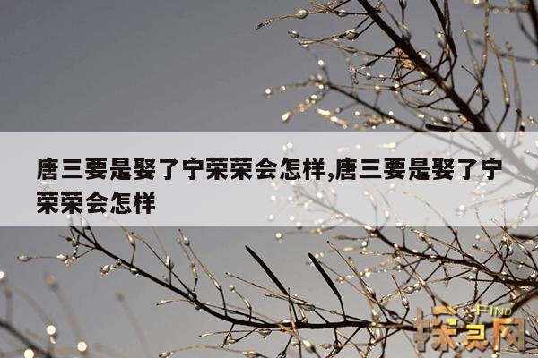 唐三要是娶了宁荣荣会怎样,唐三要是娶了宁荣荣会怎样