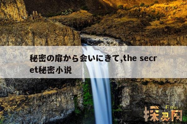 秘密の扉から会いにきて,the secret秘密小说