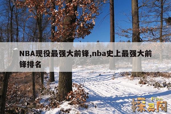 NBA现役最强大前锋,nba史上最强大前锋排名