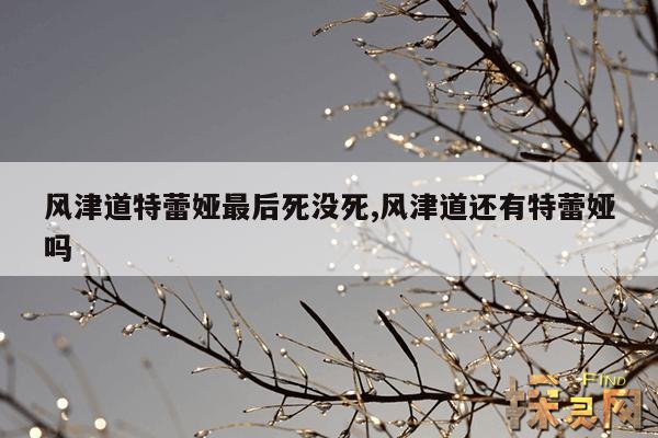风津道特蕾娅最后死没死,风津道还有特蕾娅吗