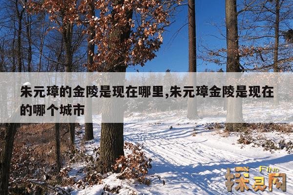 朱元璋的金陵是现在哪里,朱元璋金陵是现在的哪个城市