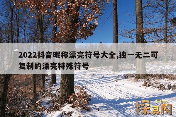 2022抖音昵称漂亮符号大全,独一无二可复制的漂亮特殊符号