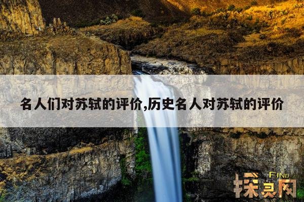 名人们对苏轼的评价,历史名人对苏轼的评价