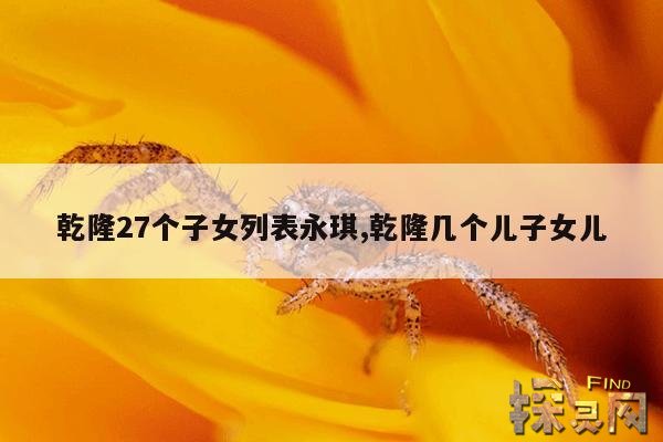 乾隆27个子女列表永琪,乾隆几个儿子女儿