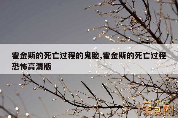 霍金斯的死亡过程的鬼脸,霍金斯的死亡过程恐怖高清版