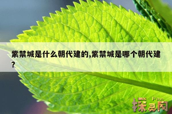 紫禁城是什么朝代建的,紫禁城是哪个朝代建?
