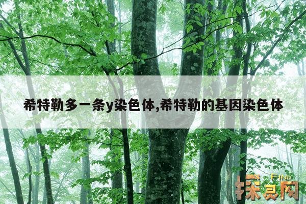 希特勒多一条y染色体,希特勒基因