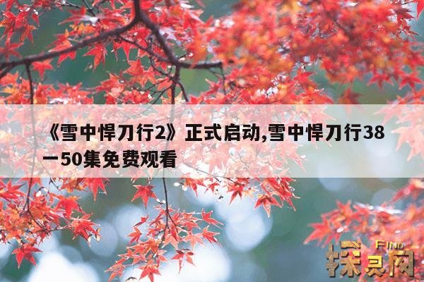 《雪中悍刀行2》正式启动,雪中悍刀行38一50集免费观看