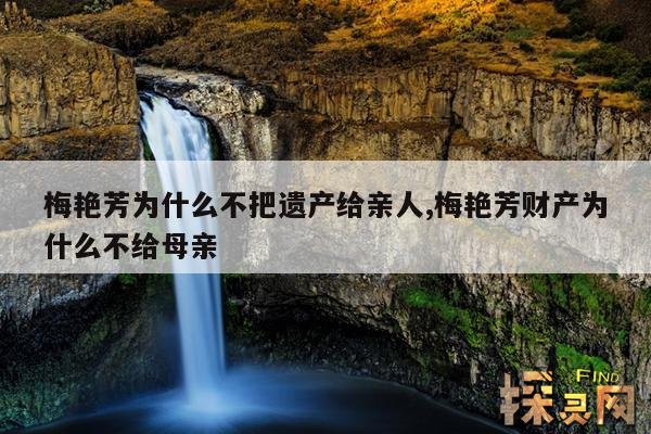 梅艳芳为什么不把遗产给亲人,梅艳芳财产为什么不给母亲