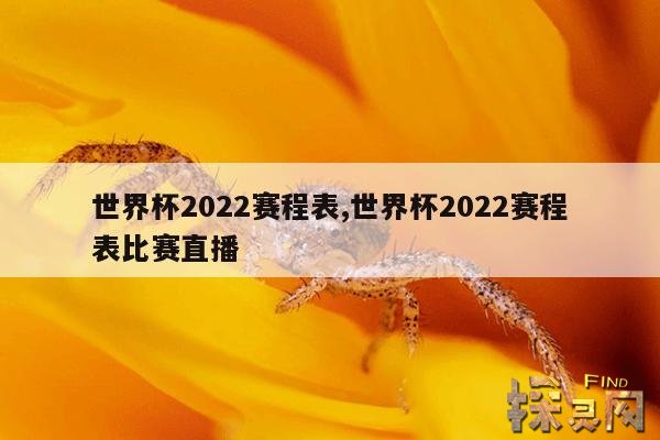 世界杯2022赛程表,世界杯2022赛程表比赛直播
