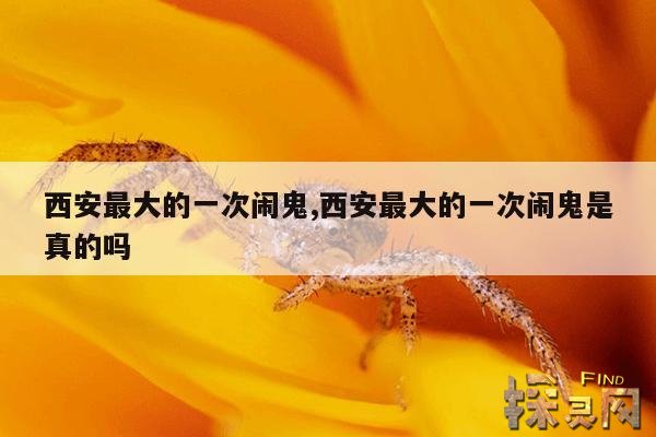 西安最大的一次闹鬼,西安最大的一次闹鬼是真的吗